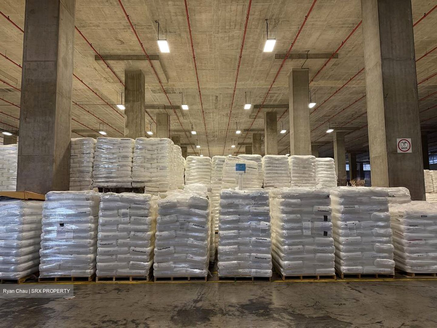 Benoi Crescent (D22), Warehouse #523597381